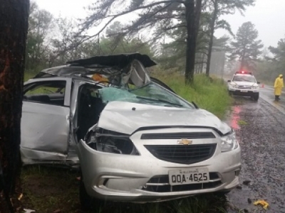 Veículo bateu fortemente em uma árvore.Foto: Divulgação/PRF